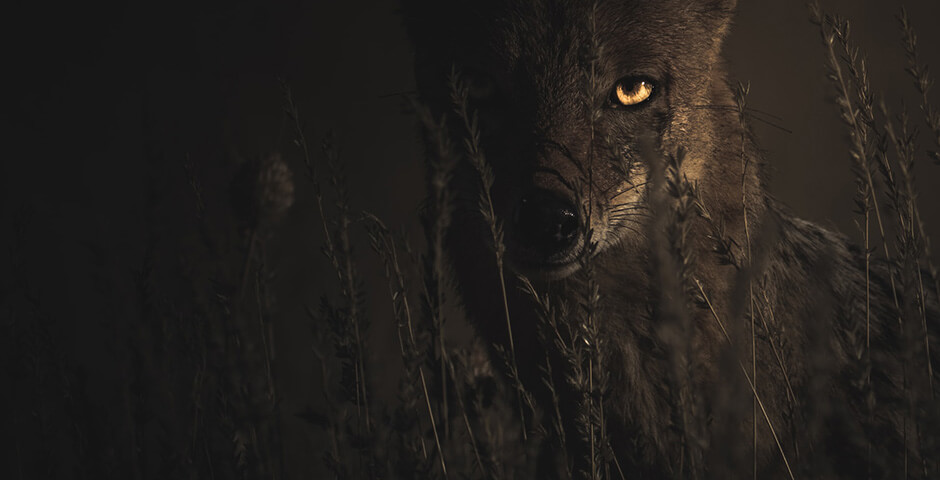 Полуденная сводка: кризис на Украине, 9 февраля