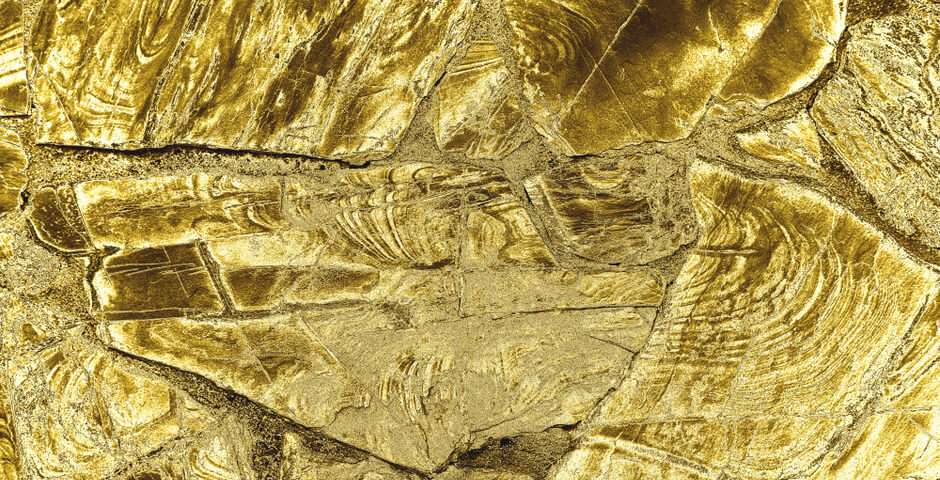 В Хабаровском крае началась разработка месторождения «Дяппе»