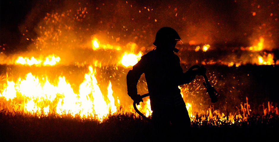 Приморье получит десятки миллионов для борьбы с природными пожарами