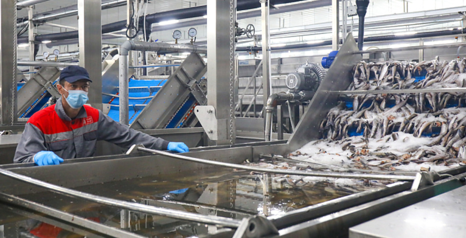 Экспорт российской рыбы в Китай к декабрю вырос на 94% 