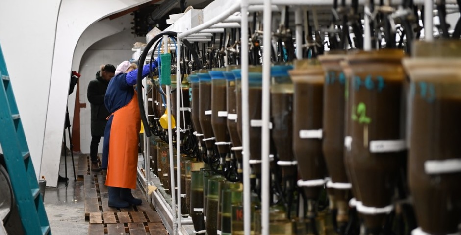 В Бурятии модернизируют рыбоводный омулевый завод на Байкале