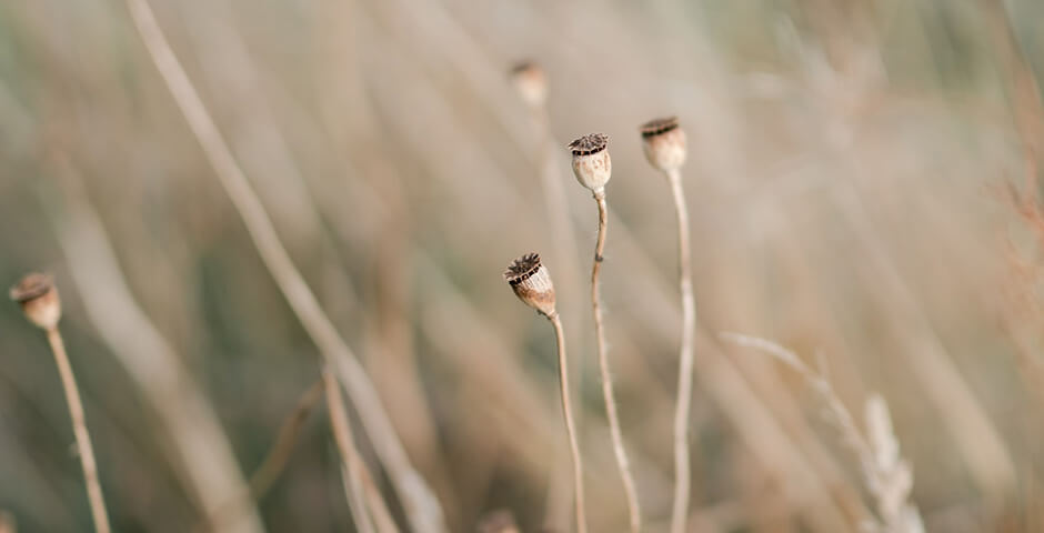 Полуденная сводка: кризис на Украине, 6 февраля