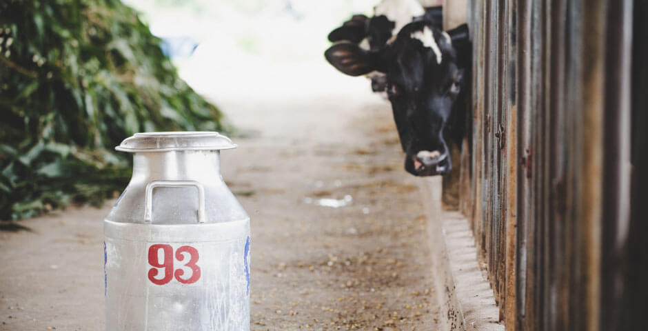 В Кузбассе в 2025 году ожидают снижение производства мяса и сокращение надоев молока