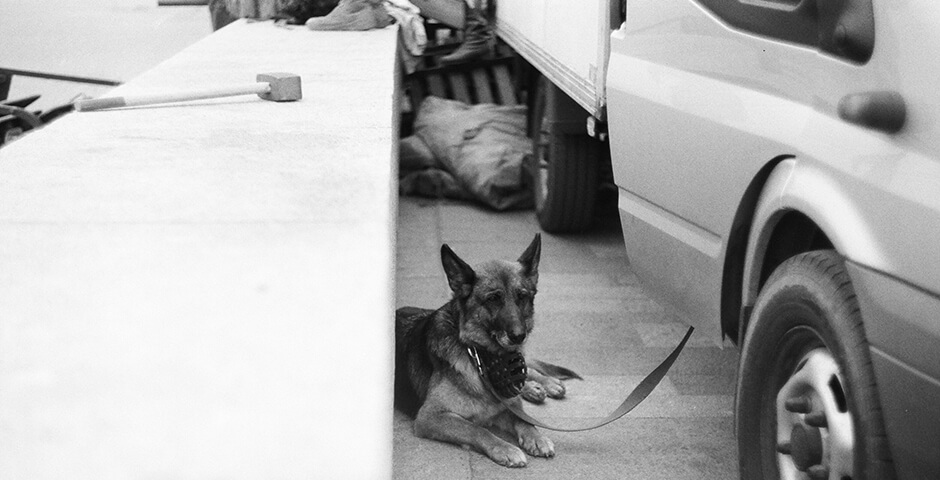 Полуденная сводка: кризис на Украине, 15 августа