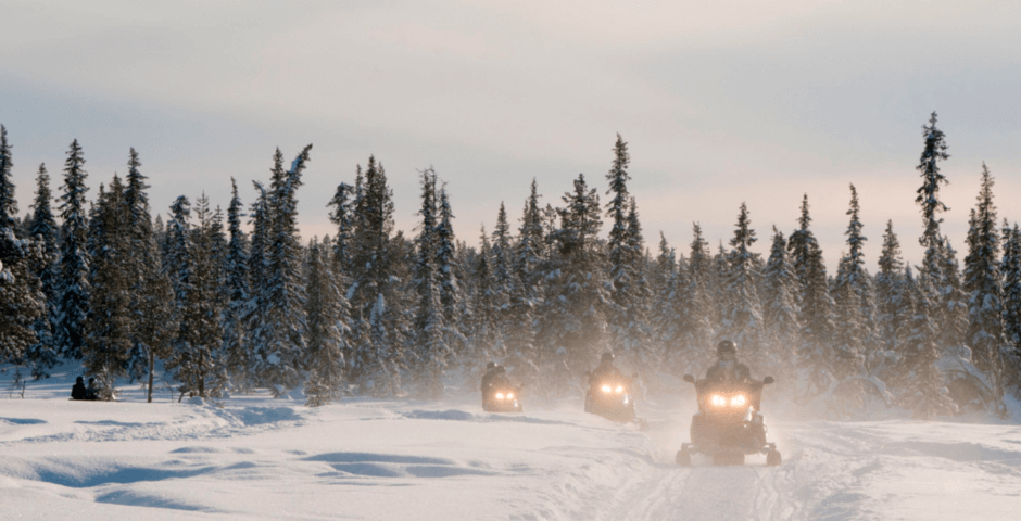 В 2025 году турпоток в Республику Алтай вырос до 2,8 миллиона человек