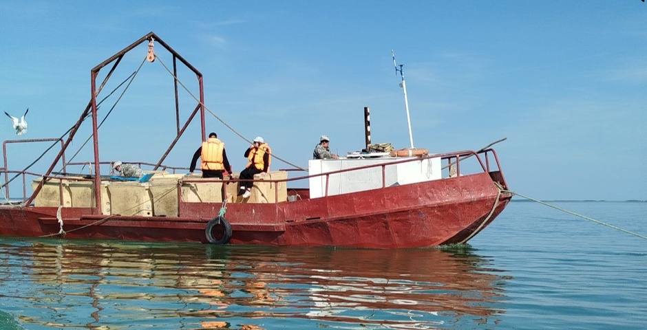 Власти помогли финансами 25 рыбным хозяйствам Новосибирской области  
