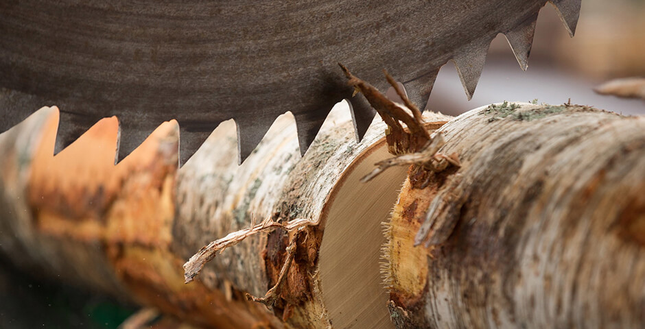 Runko Group сохраняет объем экспорта древесины