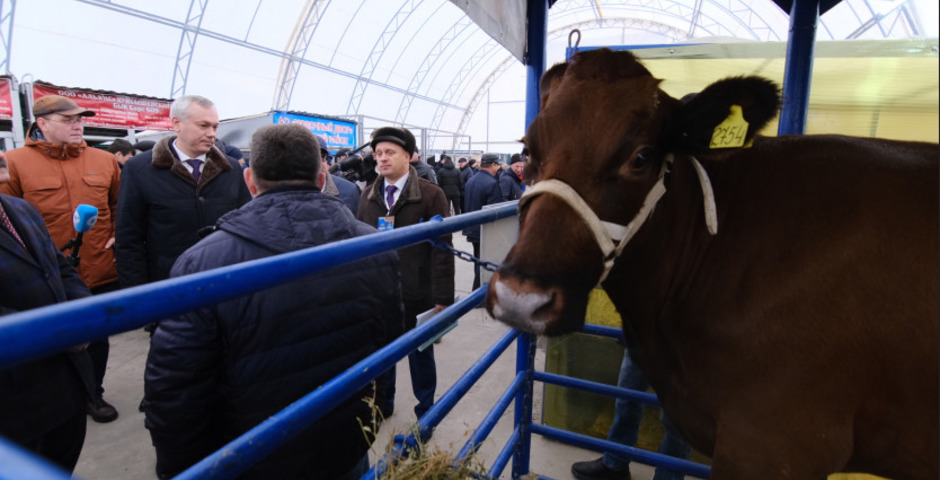 Юбилейный Агрофорум в Новосибирске собрал ведущих представителей отрасли