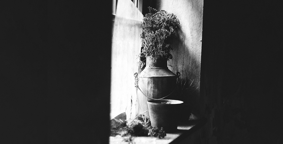 Полуденная сводка: кризис на Украине, 26 августа