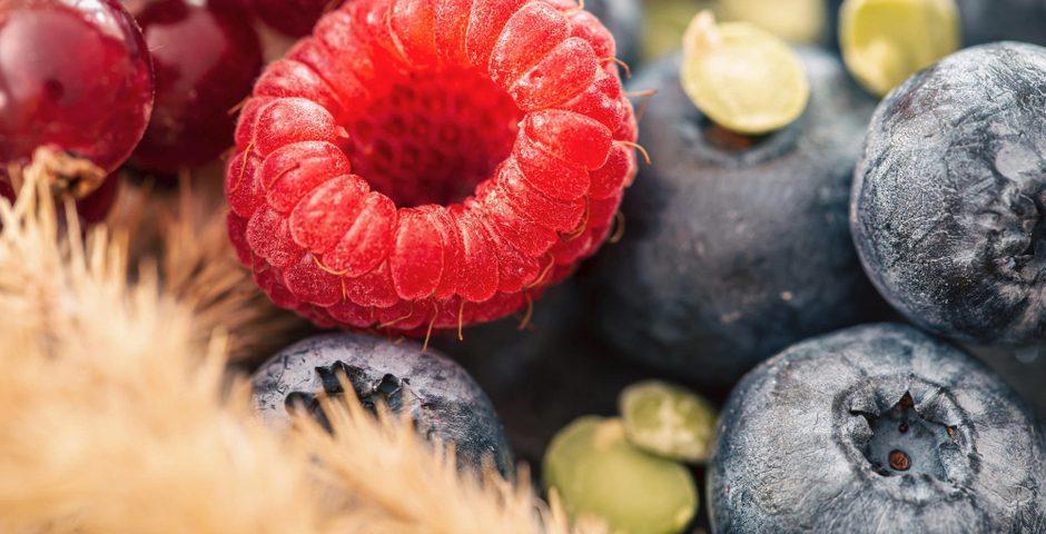 В Томской области построят холодильный комплекс для хранения ягод за 550 млн рублей