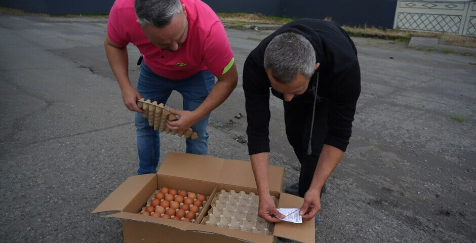 На Камчатке птицефабрика «Пионерское» готовится вывести новое поголовье кур-несушек
