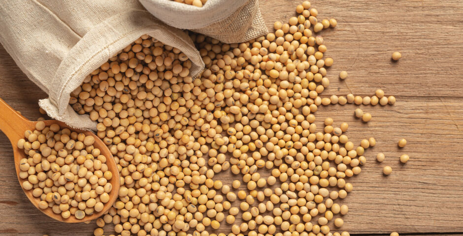 Ученые предупредили о возможном падении урожайности сои к 2050 году