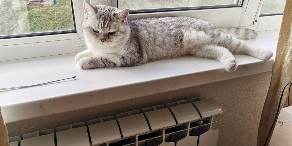 В Иркутской области назвали установленные нормы энергопотребления неприемлемыми