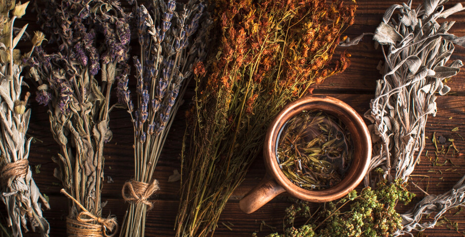 В Хабаровском крае предлагают разрешить сбор дикоросов без аренды лесных участков