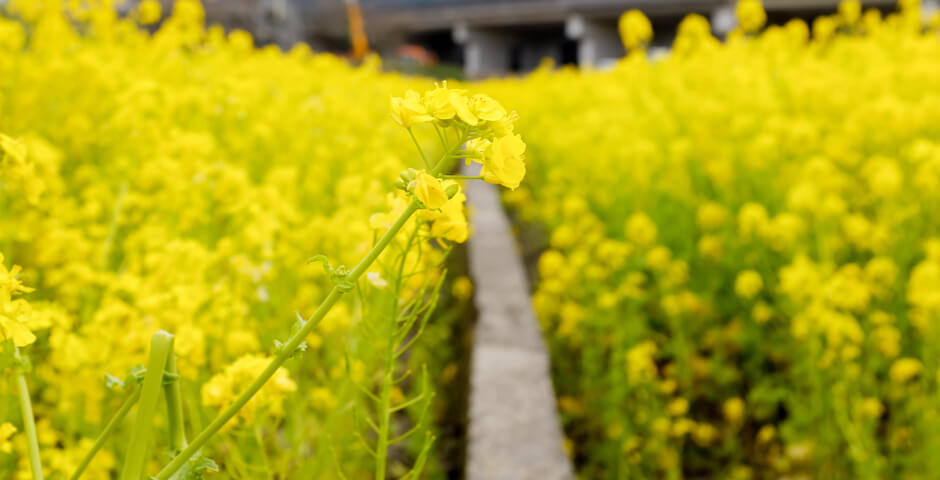 Иркутская область увеличила экспорт продукции АПК в 1,6 раза