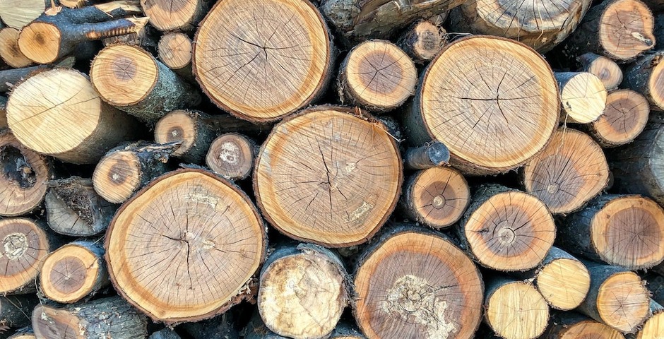 Красноярский край экспортировал около 3 млн кубометров древесины в 16 стран