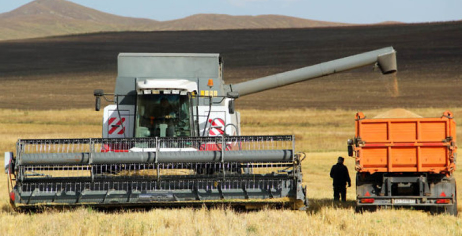 Забайкальским аграриям возместили расходы на выращивание зерна