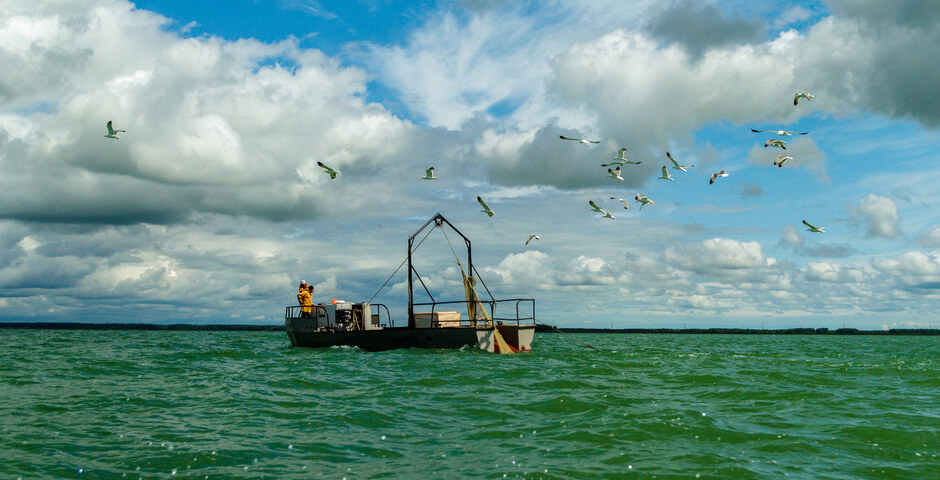 Новосибирская компания начала поставки ротана в Китай