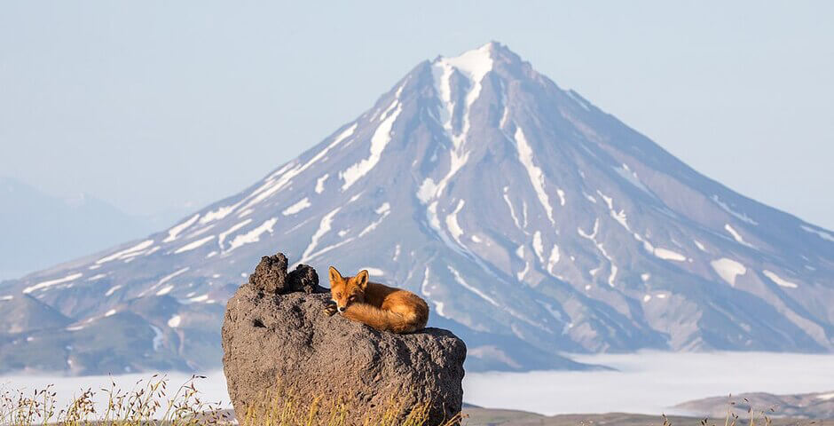 Трутнев: инвестиции в Дальний Восток растут опережающими темпами