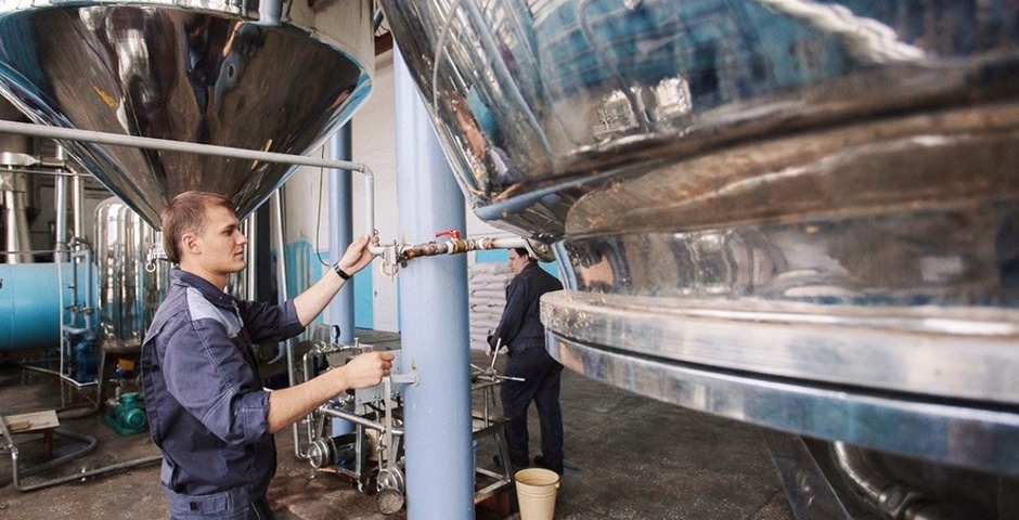 В Амурской области наладят выпуск антиоксидантов и пребиотиков из древесины 