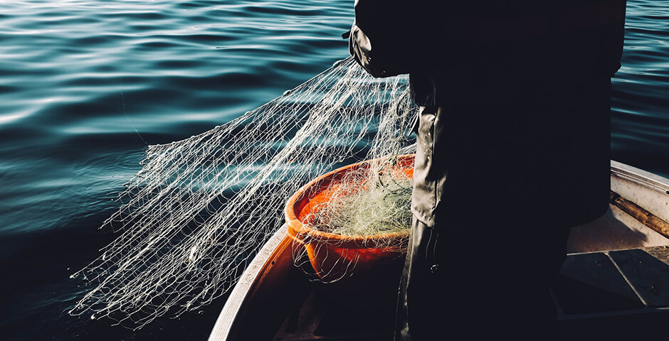 WWF потребовали пересмотреть стратегию промысла тихоокеанских лососей
