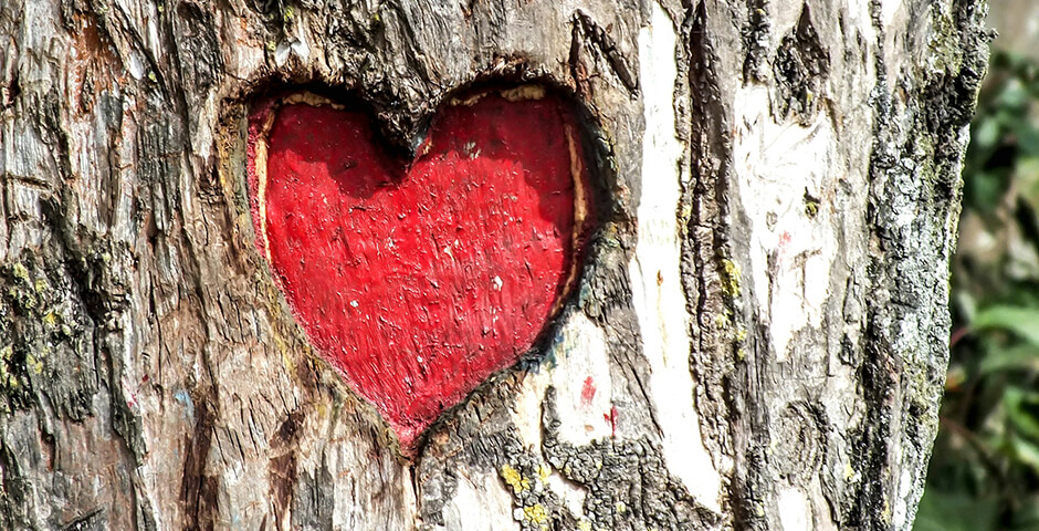 «Валентинка» с подвохом