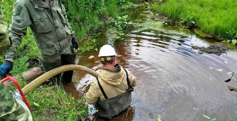 Ученые ТГУ очистили загрязненный нефтью водоем в Коми с помощью собственной технологии