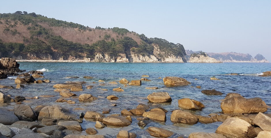 Компания «КАРАТ» получила статус резидента СПВ для строительства эко-глэмпинга во Владивостоке