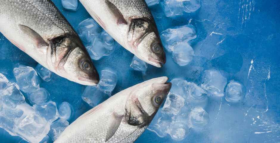 На Сахалине заработал новый рыбоперерабатывающий комплекс мощностью 500 тонн в сутки