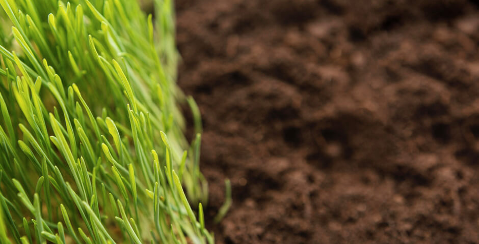 В Иркутской области возбуждено дело о загрязнении почвы с ущербом почти 300 миллионов рублей