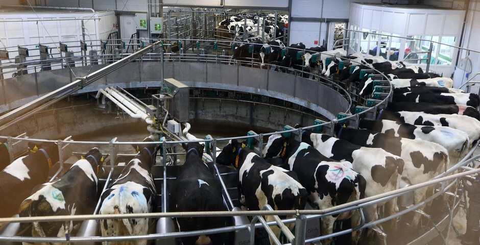 В Томской области открыли молочный комплекс на 2 тысячи голов с инвестициями почти 3 миллиарда рублей