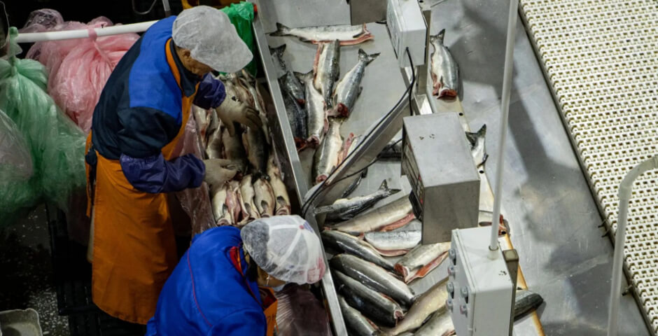 В Хабаровском крае обсудили снижение вылова и рост цен на рыбу