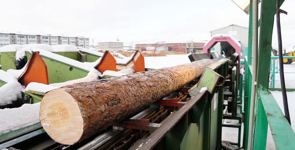 К ноябрю Томская область отправила на экспорт 1,2 млн кубометров древесины 