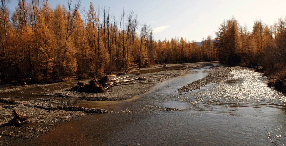 Совфед РФ утвердил повышение штрафов за загрязнение водных объектов