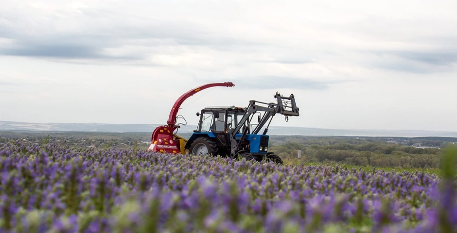 В Хакасии сертифицировали на органичность ферму компании Natura Siberica 
