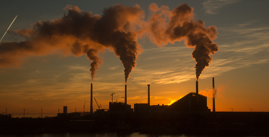 Разработан экспресс-метод тестирования воздуха с помощью бактерий