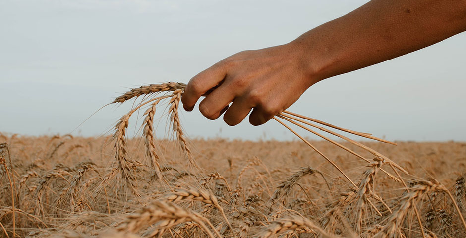 Полуденная сводка: кризис на Украине, 17 апреля