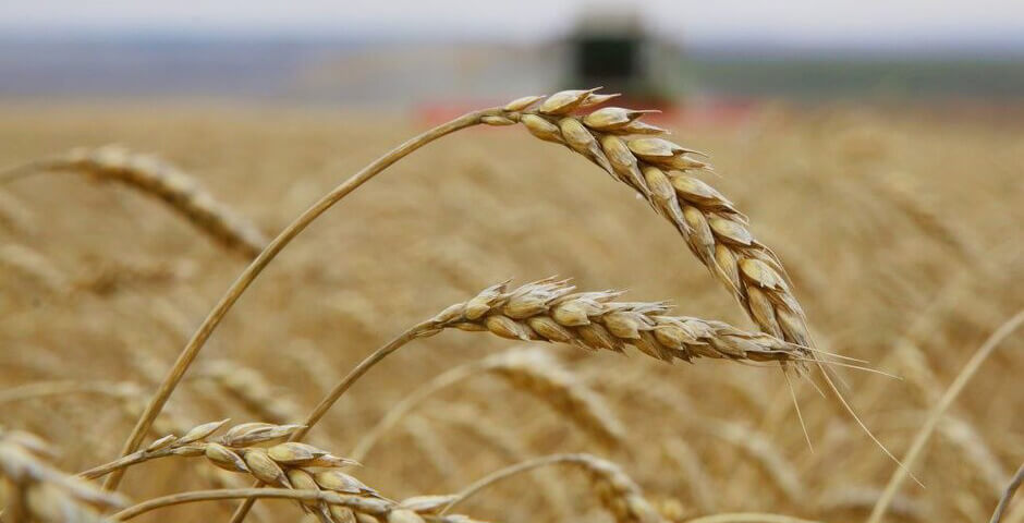 Иркутская область поднялась на 12 место в рейтинге инновационности АПК