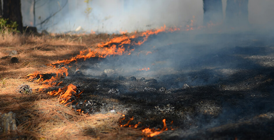Пожарная обстановка в СФО и ДФО