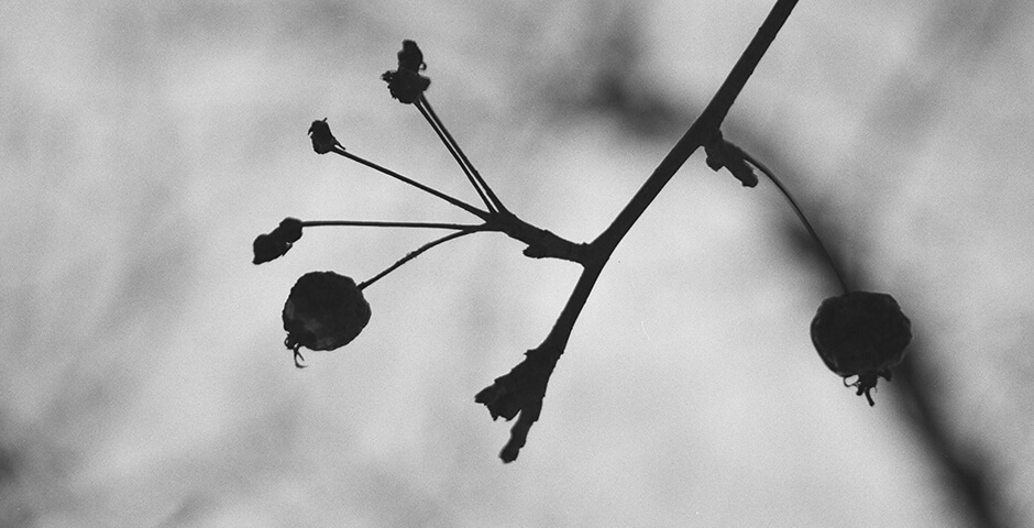 Полуденная сводка: кризис на Украине, 23 августа