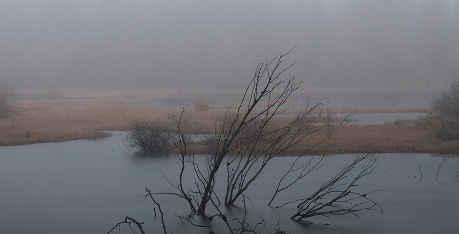 Полуденная сводка: кризис на Украине, 8 февраля