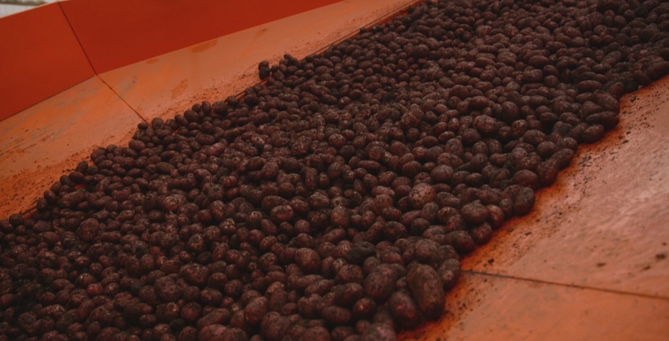 Аграриям Камчатки в 2024 году предоставили более миллиарда рублей господдержки 