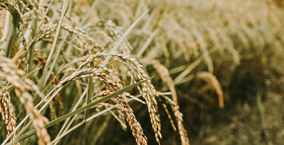 Полуденная сводка: кризис на Украине, 18 июля