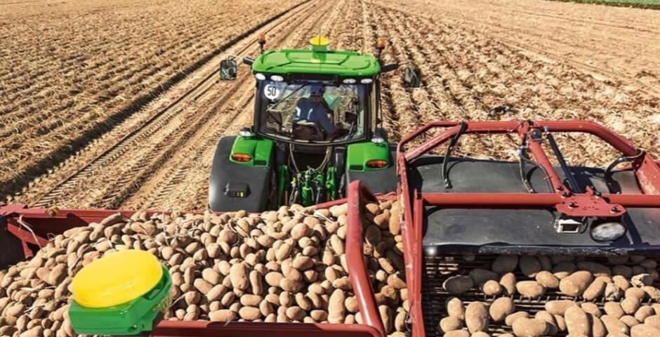 Резидент СПВ в Приморье запустит производство 2 тысяч тонн овощей в год