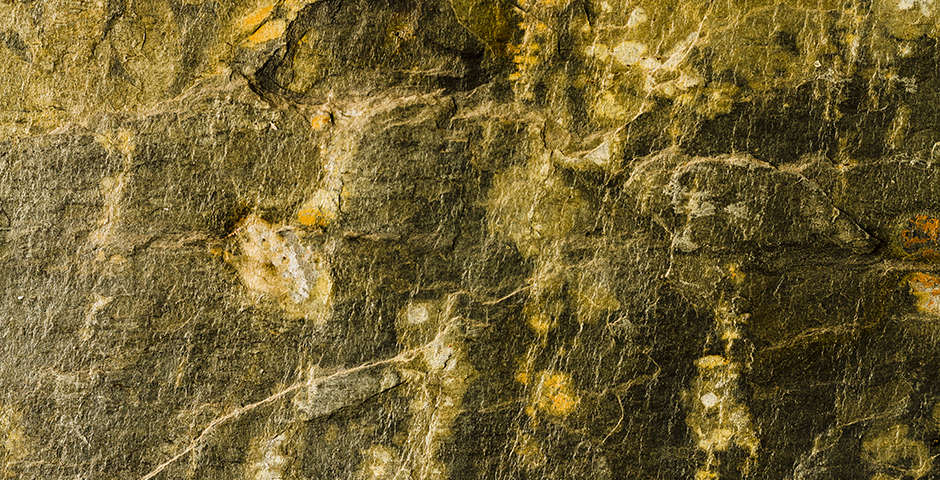 Ведугинское месторождение золота в Красноярском крае достигнет проектной мощности к 2028 году