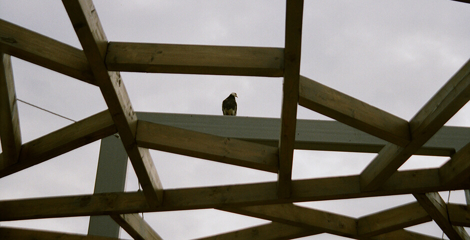 Полуденная сводка: кризис на Украине, 12 августа