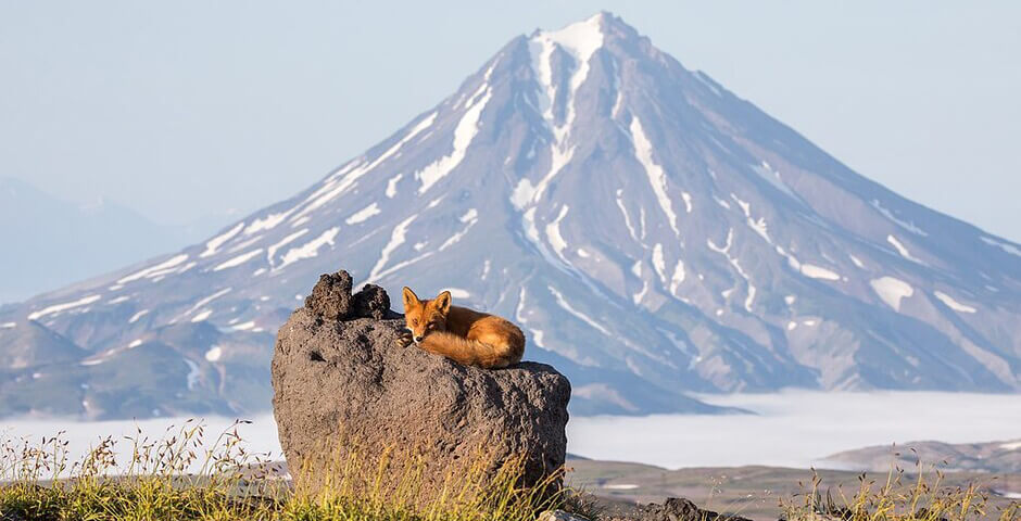 Эксперт: единая ТОР для Арктики и Дальнего Востока облегчит работу инвесторов