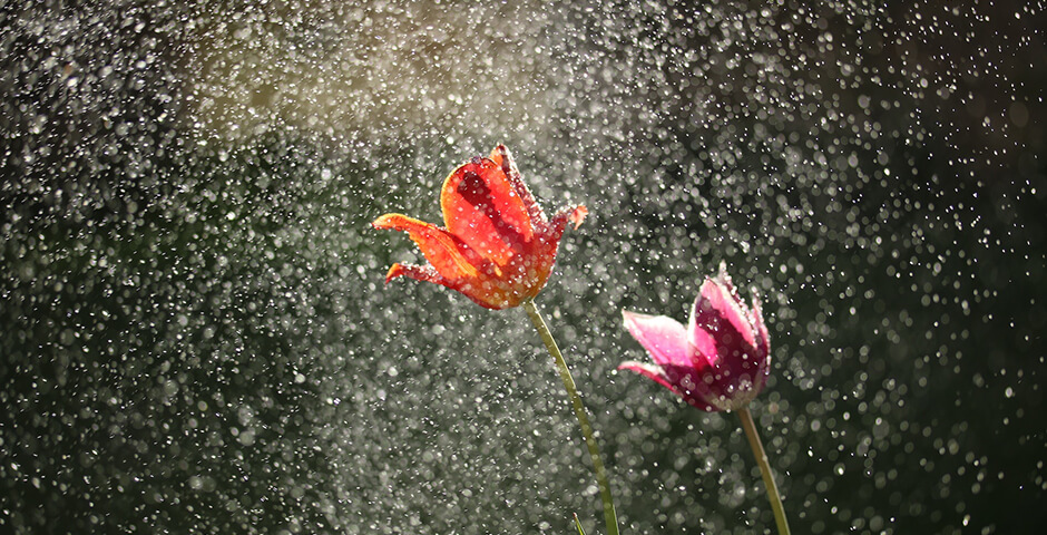 Полуденная сводка: кризис на Украине, 7 августа