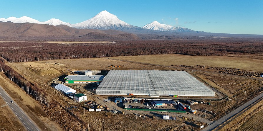 На Камчатке газифицировали тепличный комплекс