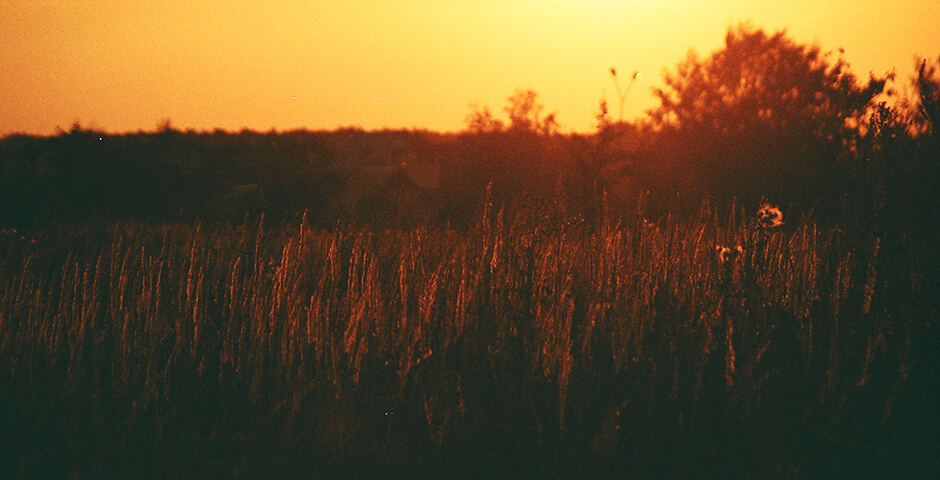 Полуденная сводка: кризис на Украине, 18 августа